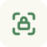 lock-icon